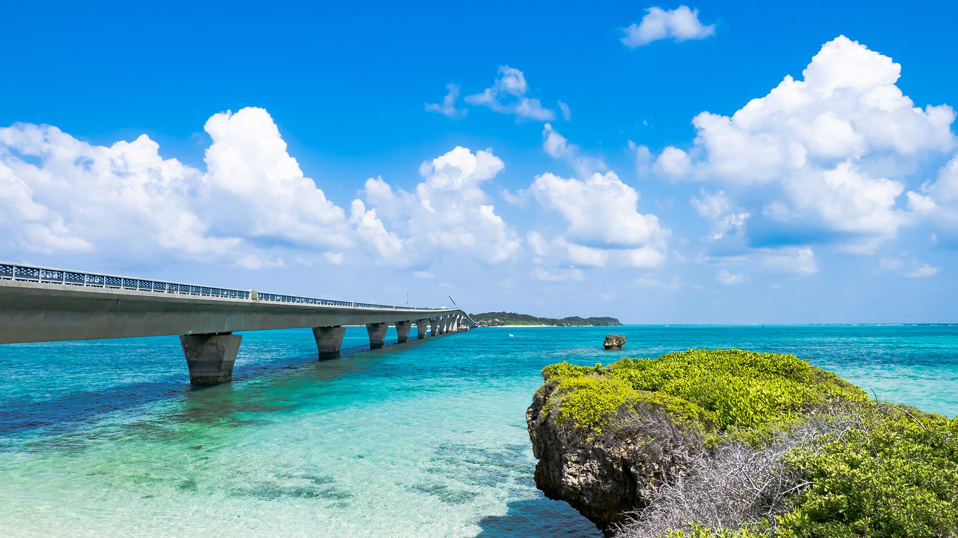 令和４年度沖縄観光コンテンツ開発支援事業