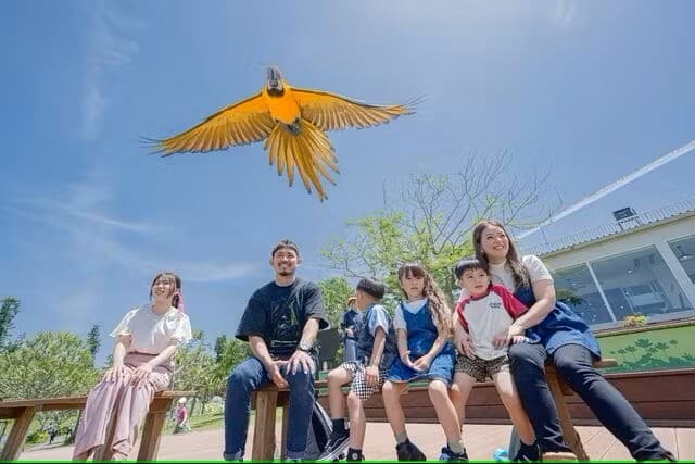 【沖縄市】東南植物楽園 団体特別バードパフォーマンスショー