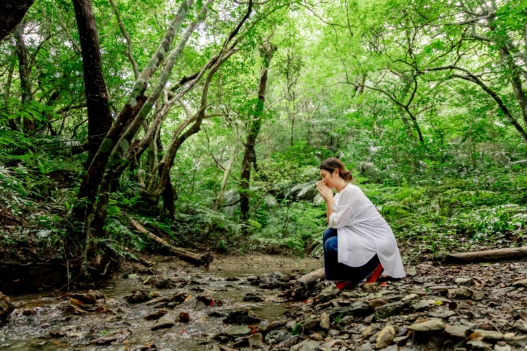 ［12/22更新］-造成中-【やんばる】Women’s Sense of Wonder -森と星とともに紡ぐ、“私”に還る物語-