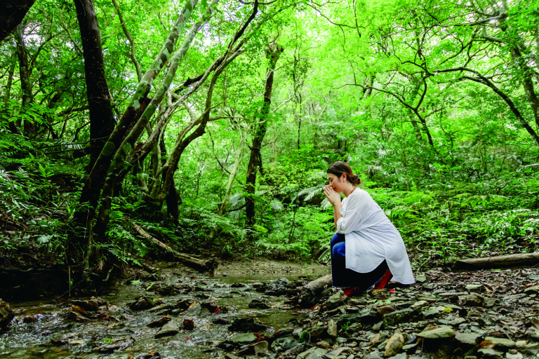 【首里周辺・やんばる】Women’s Sense of Wonder　 －森と星とともに紡ぐ、“私”に還る物語－